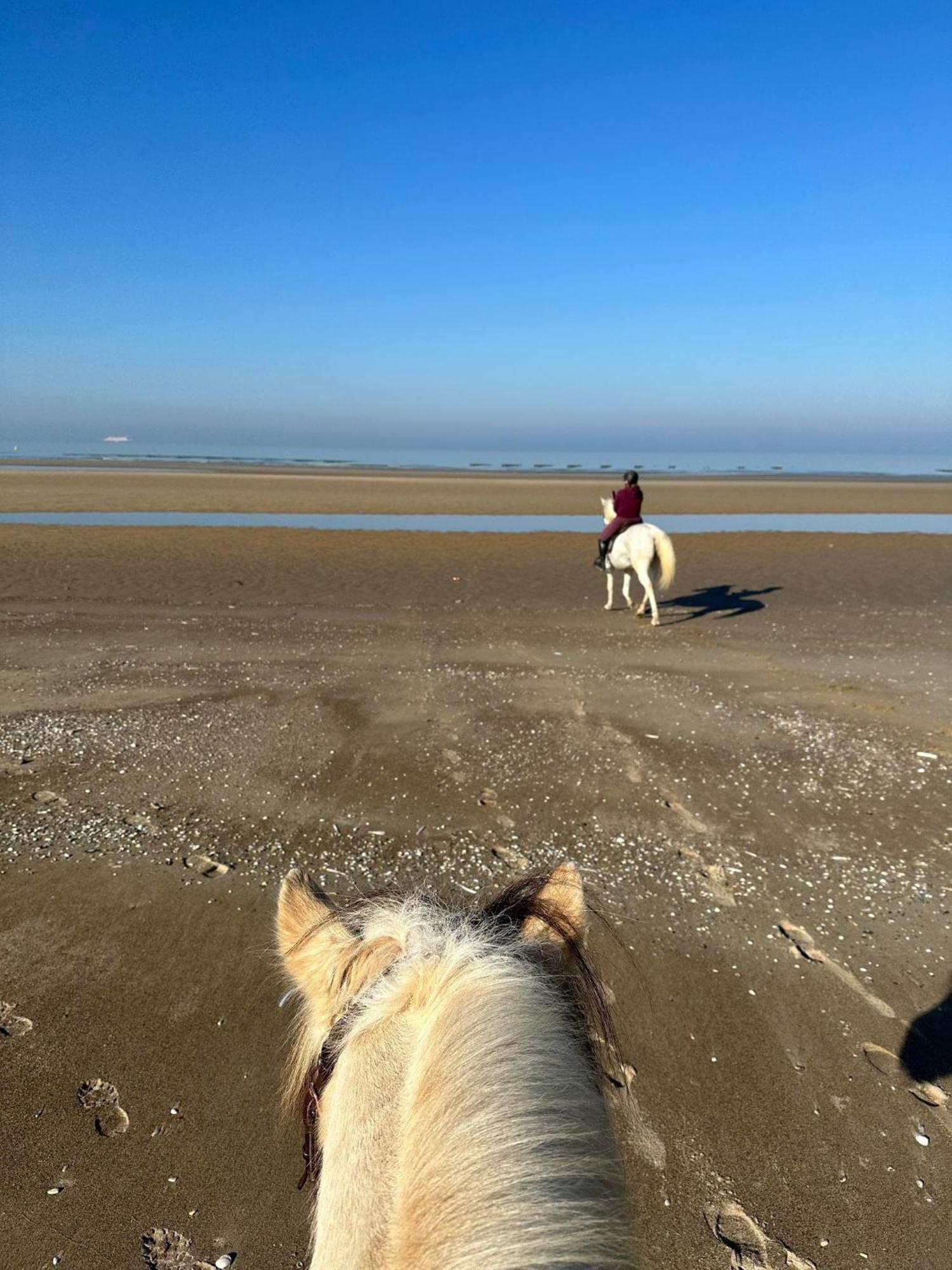 דירות Oye-Plage Ferme Equestre מראה חיצוני תמונה